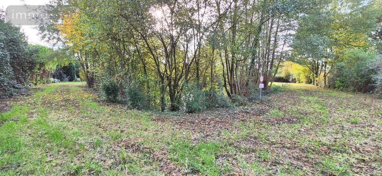 Terrains de loisirs bois etangs a vendre Sillé-le-Philippe 72460 Sarthe 2420 m2  17640 euros