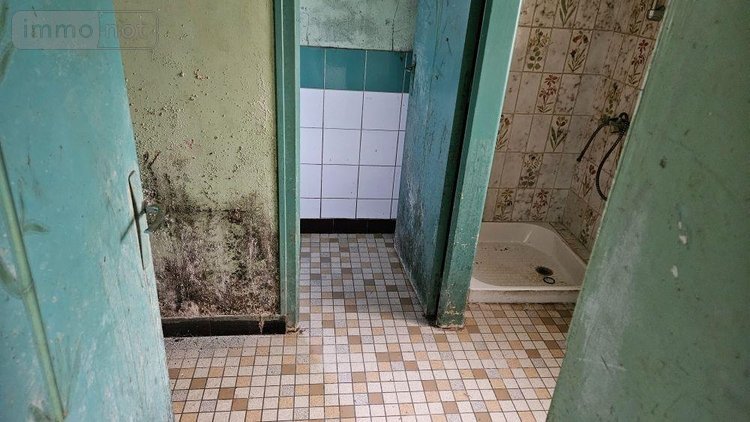 Maison a vendre Roëzé sur Sarthe 72210 Sarthe 54 m2 2 pièces 53000 euros