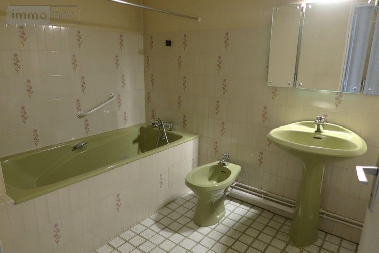 Location appartement Châtellerault 86100 Vienne 73 m2 3 pièces 695 euros