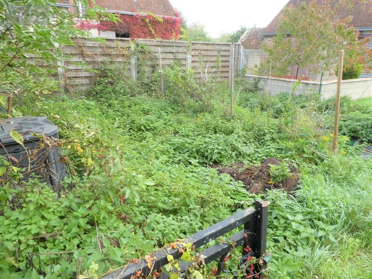 Maison a vendre Dame-Marie-les-Bois 37110 Indre-et-Loire 77 m2  63510 euros