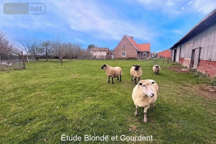 Maison a vendre Bollezeele 59470 Nord 130 m2 4 pièces 335000 euros