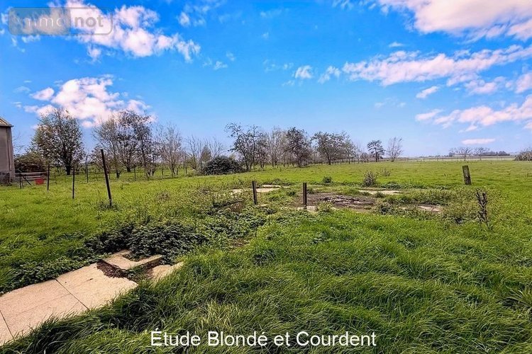 Maison a vendre Bollezeele 59470 Nord 130 m2 4 pièces 335000 euros