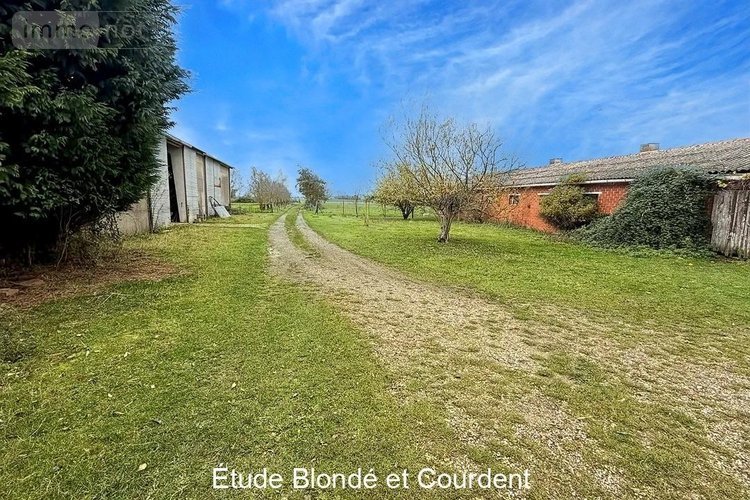 Maison a vendre Bollezeele 59470 Nord 130 m2 4 pièces 335000 euros