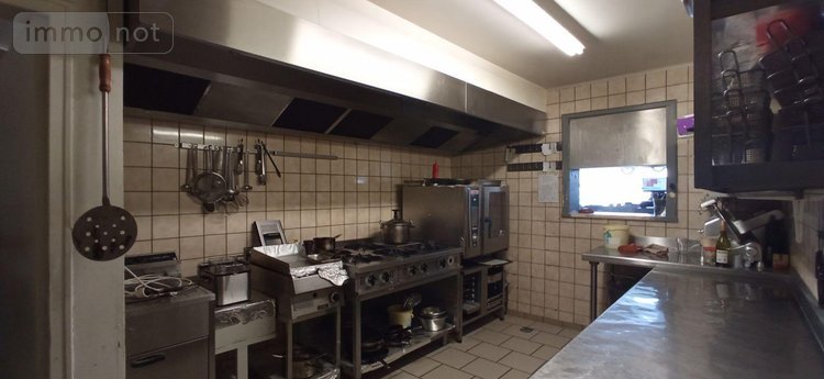 Fonds et murs commerciaux a vendre Langres 52200 Haute-Marne 100 m2  441500 euros