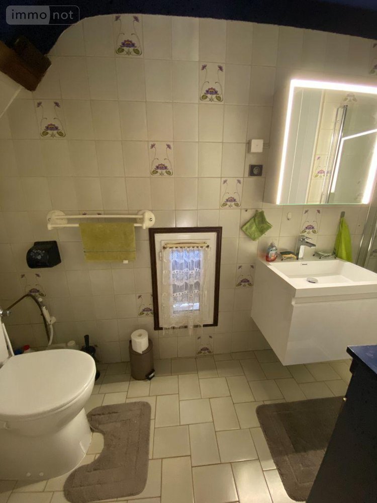 Maison a vendre Buzançais 36500 Indre 110 m2 4 pièces 271500 euros