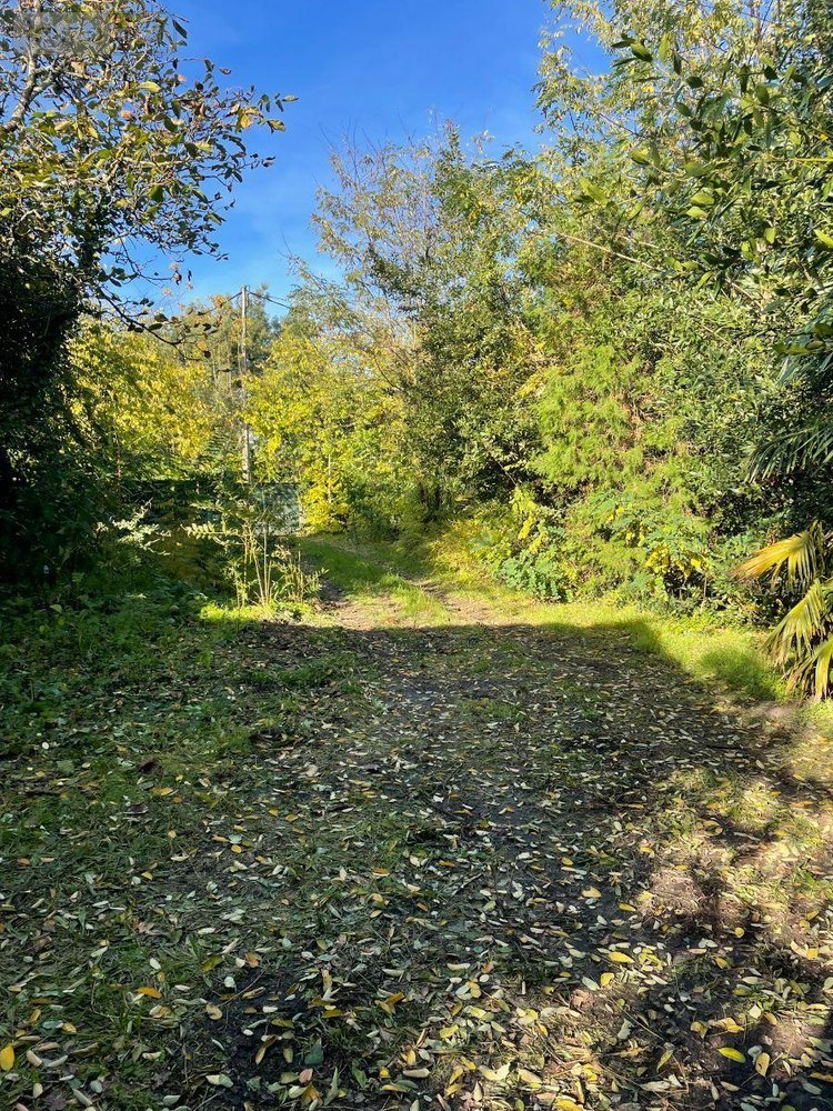 Maison a vendre Bordeaux 33000 Gironde 133 m2 6 pièces 988000 euros