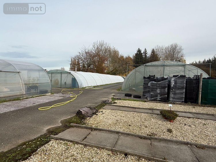 Fonds et murs commerciaux a vendre Saint-Martin-lez-Tatinghem 62500 Pas-de-Calais  466250 euros