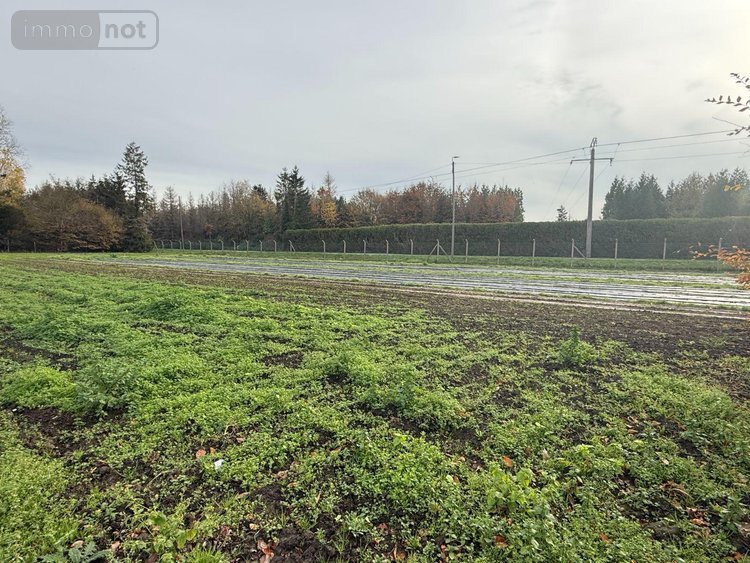 Fonds et murs commerciaux a vendre Saint-Martin-lez-Tatinghem 62500 Pas-de-Calais  466250 euros