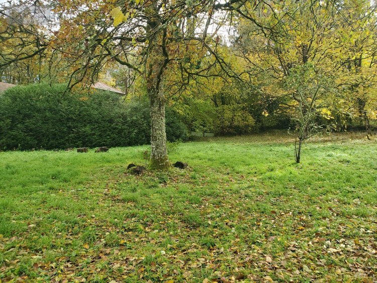 Maison a vendre Sardent 23250 Creuse 90 m2 2 pièces 101760 euros