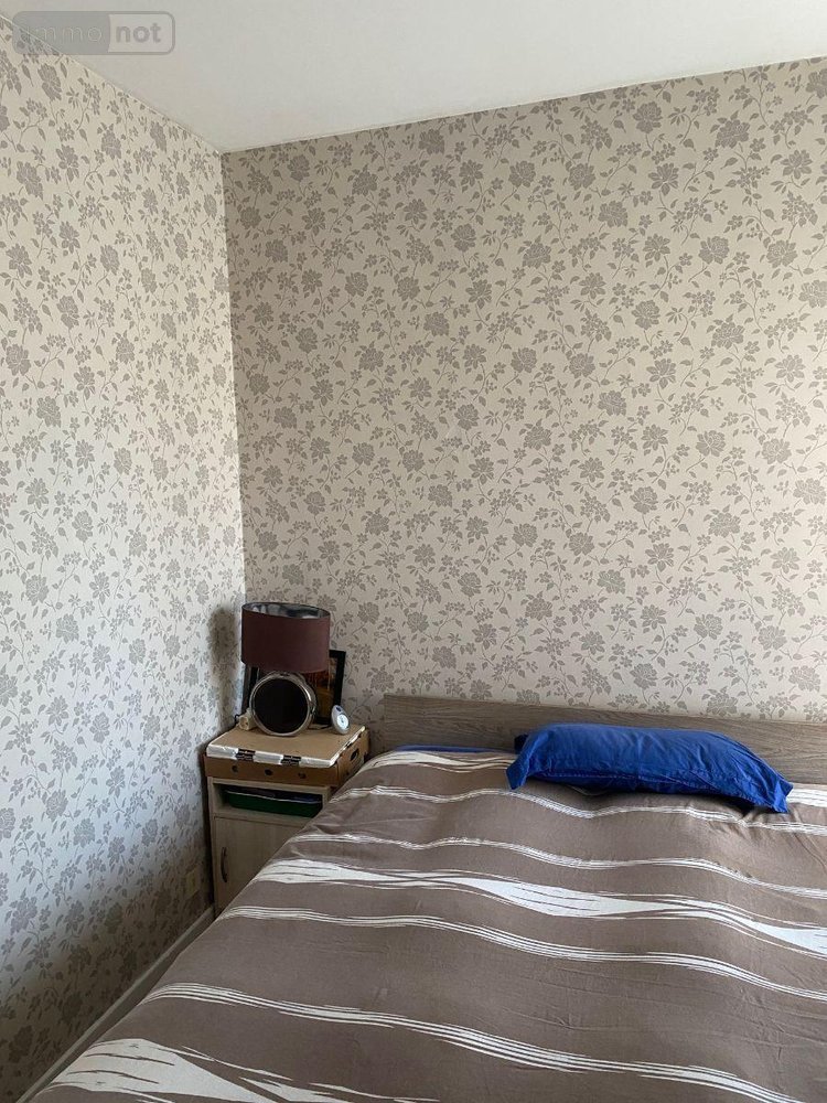 Appartement a vendre Mauriac 15200 Cantal 51 m2  58300 euros