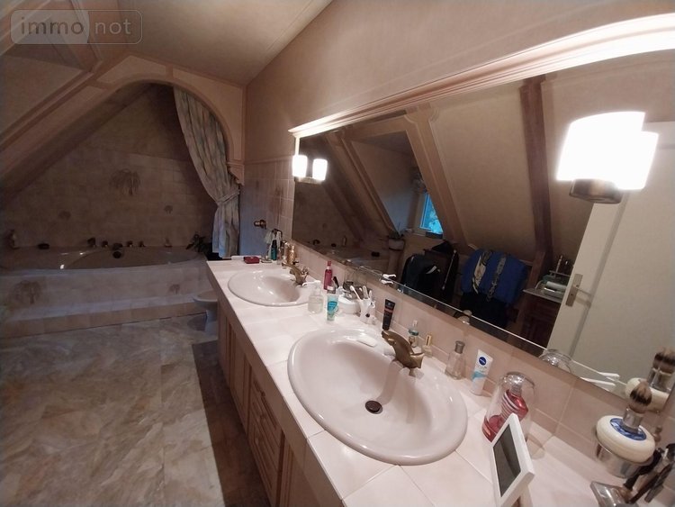 propriete a vendre Balazé 35500 Ille-et-Vilaine 273 m2 10 pièces 672750 euros