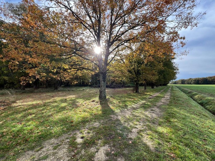 propriete a vendre La Pérouille 36350 Indre 297 m2 8 pièces 871500 euros