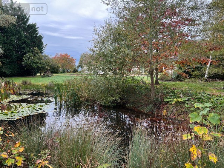 propriete a vendre La Pérouille 36350 Indre 297 m2 8 pièces 871500 euros