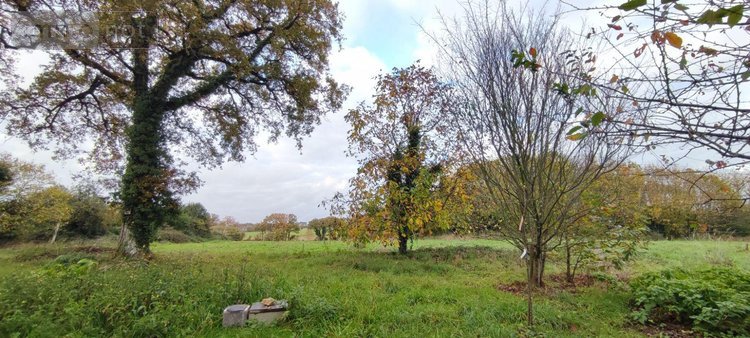 Maison a vendre Avessac 44460 Loire-Atlantique 79 m2 3 pièces 116240 euros