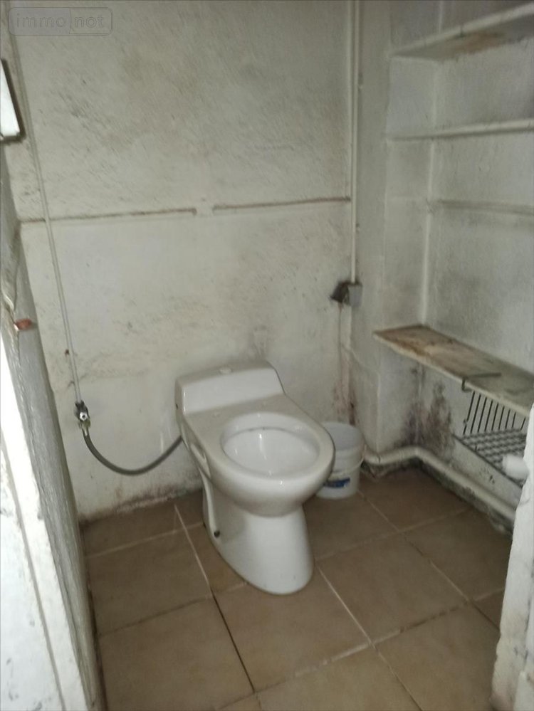 Maison a vendre Châteauneuf-sur-Cher 18190 Cher 160 m2 7 pièces 38960 euros