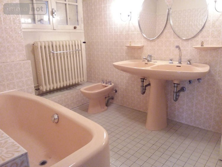 propriete a vendre Cour-Cheverny 41700 Loir-et-Cher 256 m2 11 pièces 444968 euros