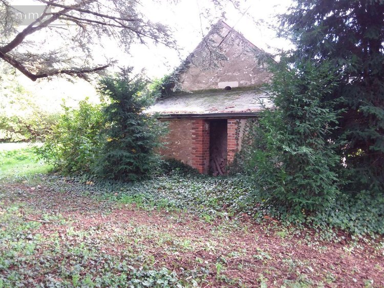 propriete a vendre Cour-Cheverny 41700 Loir-et-Cher 256 m2 11 pièces 420000 euros