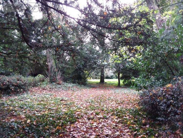 propriete a vendre Cour-Cheverny 41700 Loir-et-Cher 256 m2 11 pièces 420000 euros