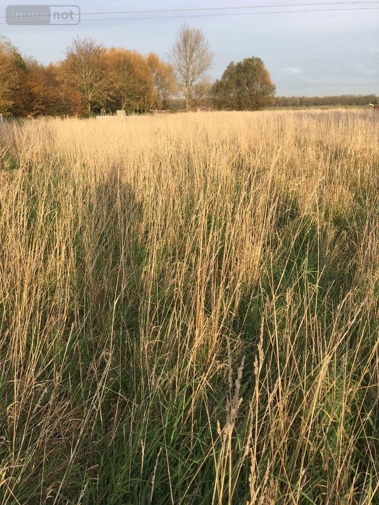 Maison a vendre Bierne 59380 Nord 54 m2 1 pièce 87500 euros