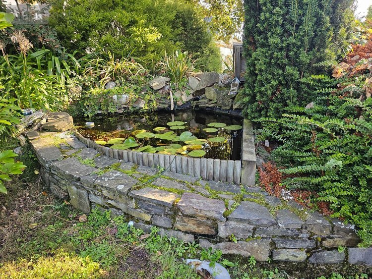 Maison a vendre Cancale 35260 Ille-et-Vilaine 170 m2 6 pièces 849230 euros