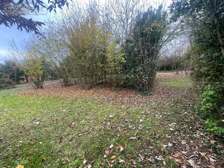 Maison a vendre Le Grand-Lucé 72150 Sarthe 159 m2 12 pièces 199500 euros