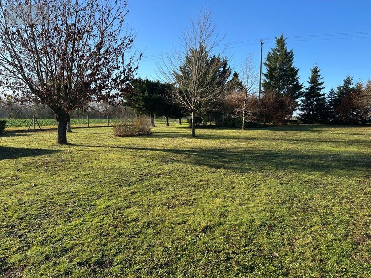 Maison a vendre Suèvres 41500 Loir-et-Cher 102 m2 5 pièces 194500 euros