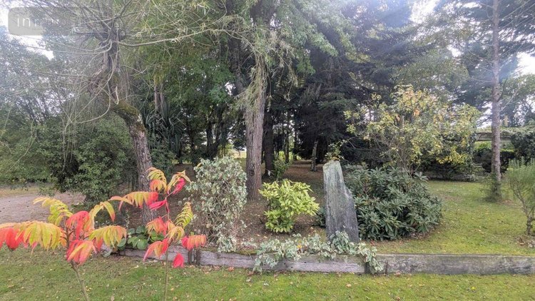 Viager maison La Chapelle-Gaceline 56200 Morbihan 195 m2 7 pièces 100000 euros