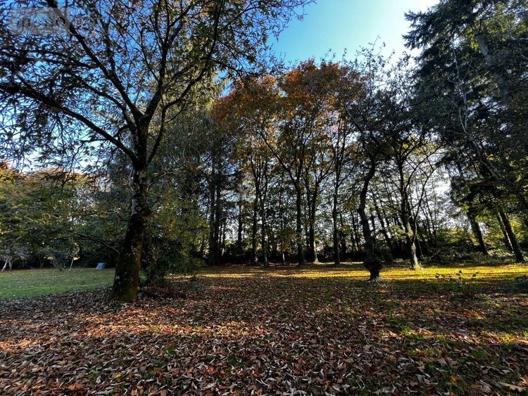 Maison a vendre Scaër 29390 Finistère 125 m2 7 pièces 265000 euros