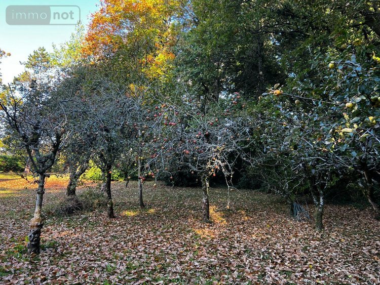 Maison a vendre Scaër 29390 Finistère 125 m2 7 pièces 265000 euros