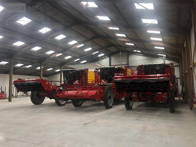 Location divers Merris 59270 Nord 1260 m2  5820 euros