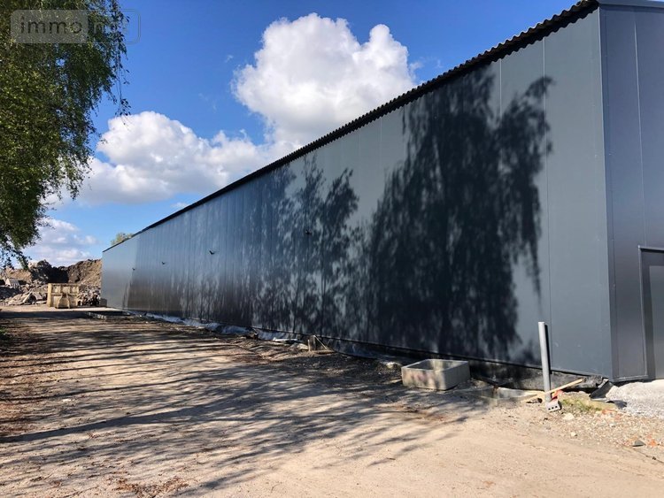 Location divers Merris 59270 Nord 1260 m2  4200 euros