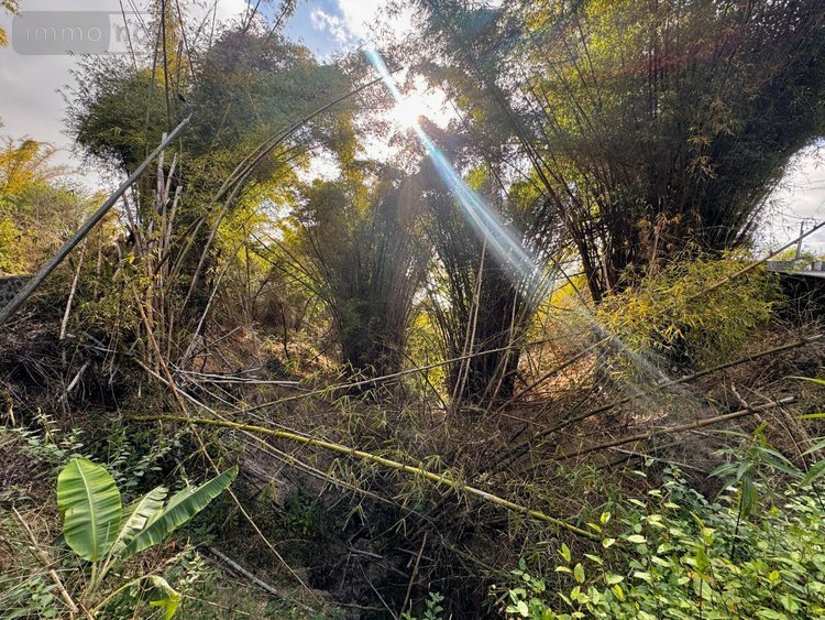 Bien agricole a vendre La-Chaloupe 97416 Réunion  14000 euros
