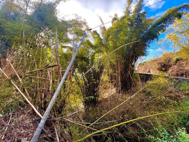 Bien agricole a vendre La-Chaloupe 97416 Réunion  14000 euros