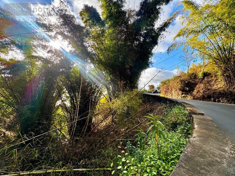 Bien agricole a vendre La-Chaloupe 97416 Réunion  8900 euros