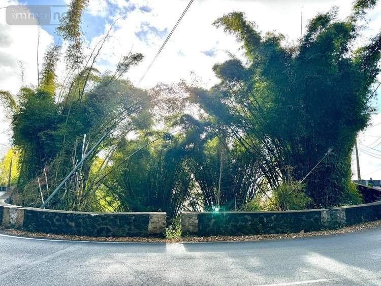 Bien agricole a vendre La-Chaloupe 97416 Réunion  8900 euros