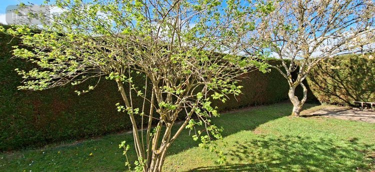 Maison a vendre Les Baux-Sainte-Croix 27180 Eure 64 m2 3 pièces 157500 euros