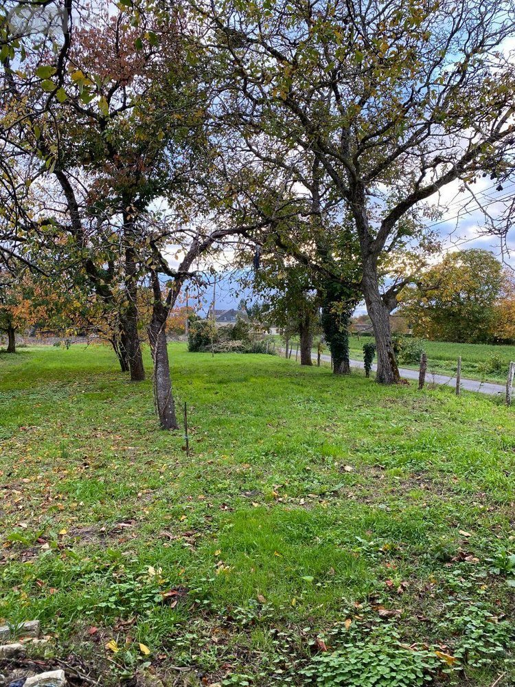 Maison a vendre Palluau-sur-Indre 36500 Indre 99 m2 6 pièces 160000 euros