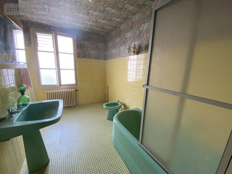 Maison a vendre Châtillon-sur-Indre 36700 Indre 140 m2 8 pièces 75400 euros