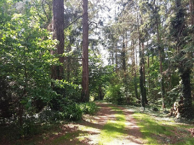 Maison a vendre Dingé 35440 Ille-et-Vilaine 175 m2 8 pièces 307400 euros