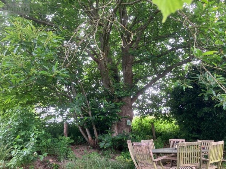 Maison a vendre Noyal-sous-Bazouges 35560 Ille-et-Vilaine 58 m2 4 pièces 160500 euros