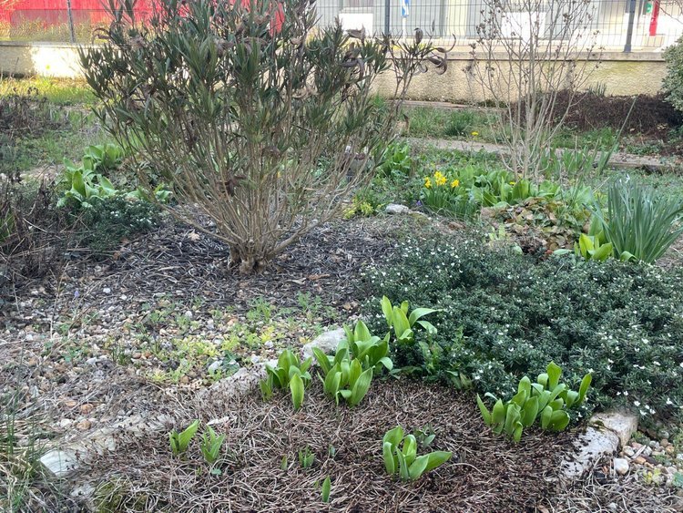 Maison a vendre Ribérac 24600 Dordogne 79 m2 4 pièces 134820 euros