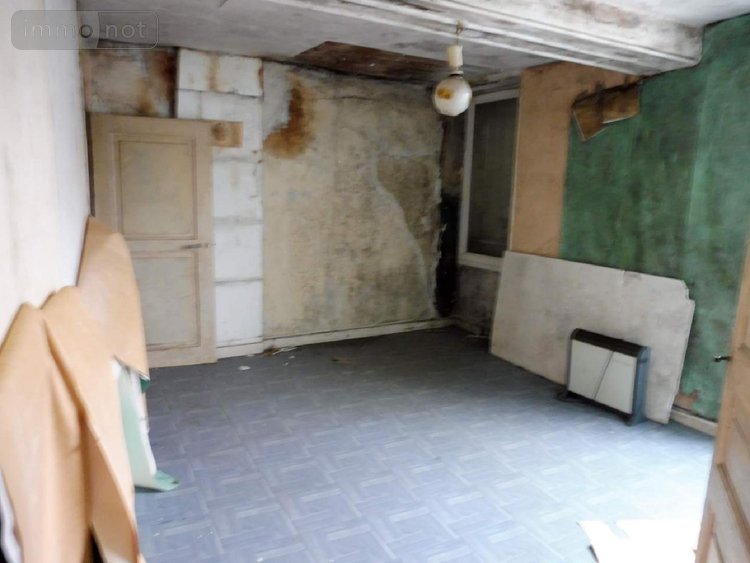 Maison a vendre Saint-Martin-de-Ribérac 24600 Dordogne 65 m2 3 pièces 35000 euros