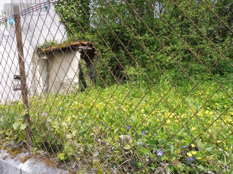 Maison a vendre Saint-Martin-de-Ribérac 24600 Dordogne 65 m2 3 pièces 35000 euros