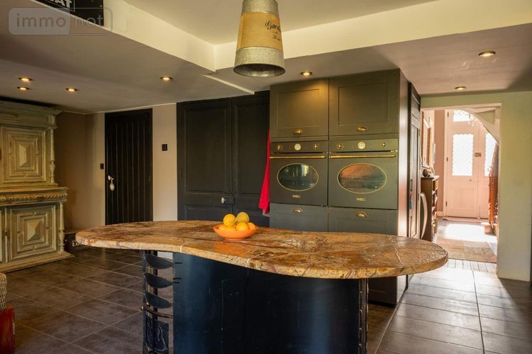 Maison a vendre Ribérac 24600 Dordogne 220 m2 6 pièces 323300 euros