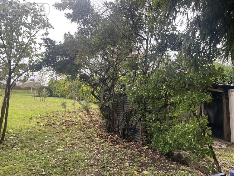 Maison a vendre Saint-Séverin 16390 Charente 116 m2 4 pièces 81000 euros