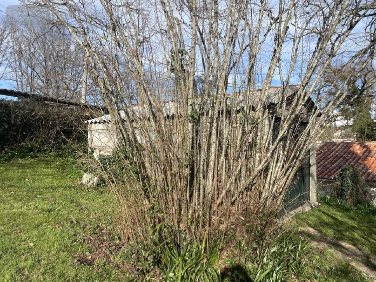 Maison a vendre Ribérac 24600 Dordogne 157 m2 4 pièces 160500 euros