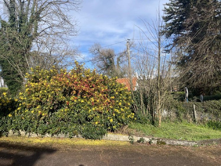 Maison a vendre Ribérac 24600 Dordogne 157 m2 4 pièces 160500 euros