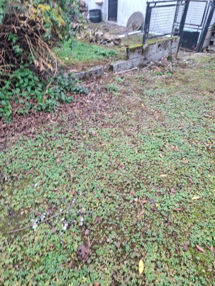 Maison a vendre Saint-Éloy-de-Gy 18110 Cher 77 m2 4 pièces 141750 euros