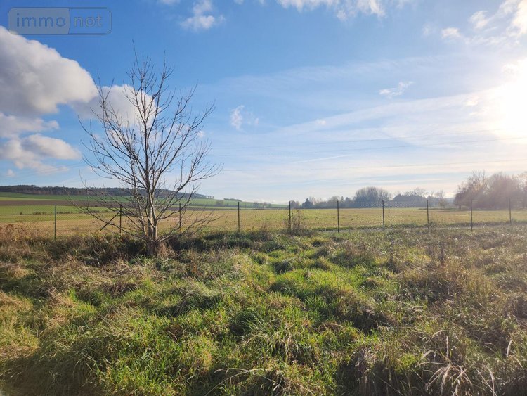 Terrains de loisirs bois etangs a vendre Laferté-sur-Aube 52120 Haute-Marne 2530 m2  7500 euros