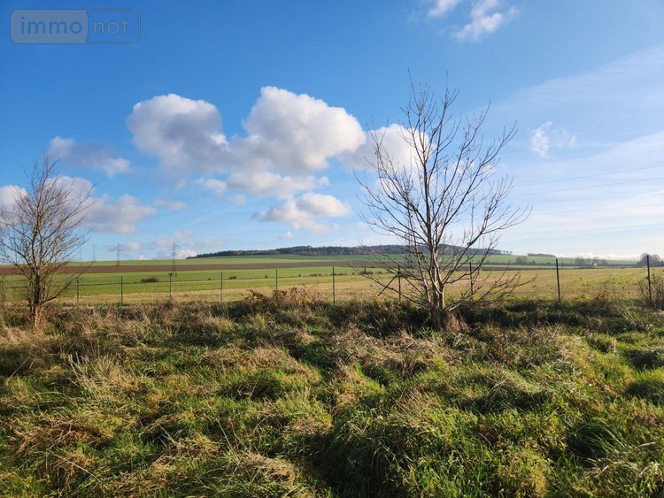Terrains de loisirs bois etangs a vendre Laferté-sur-Aube 52120 Haute-Marne 2530 m2  7500 euros
